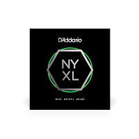 D`ADDARIO NYNW023