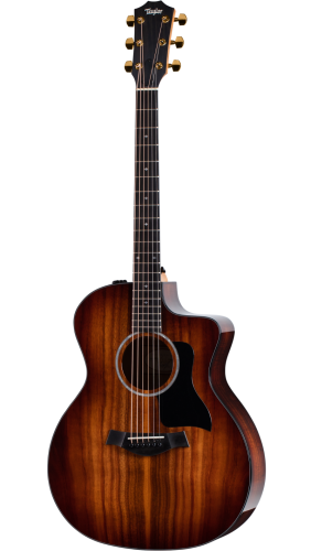 TAYLOR 224ce-K DLX