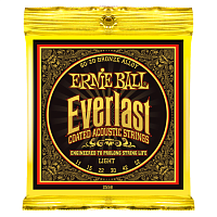 ERNIE BALL P02558