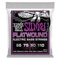 ERNIE BALL P02811